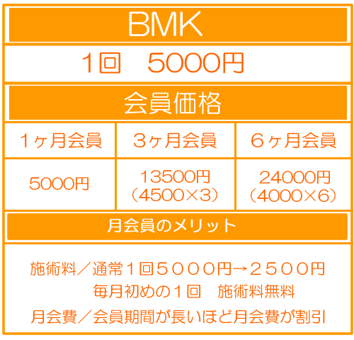BMK 料金