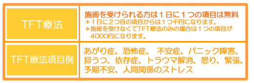 TFT療法 料金
